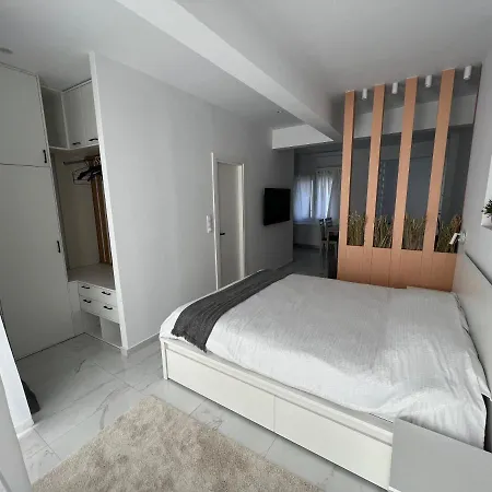 Modern 1-bedroom In The Center